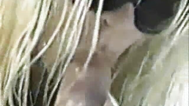 Appassionato sesso è un giovane coppia girato su siti porno gratis con animali macchina fotografica